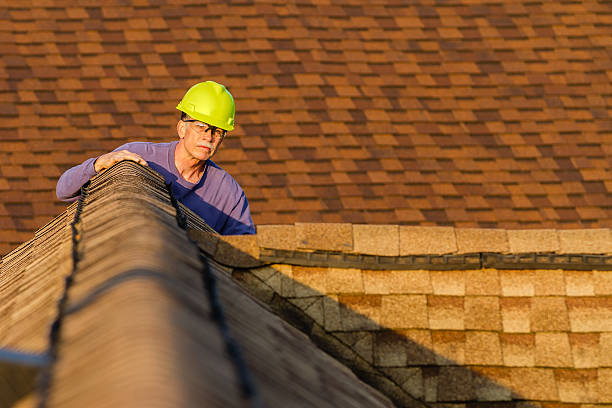 Best Storm Damage Roof Repair  in Covedale, OH